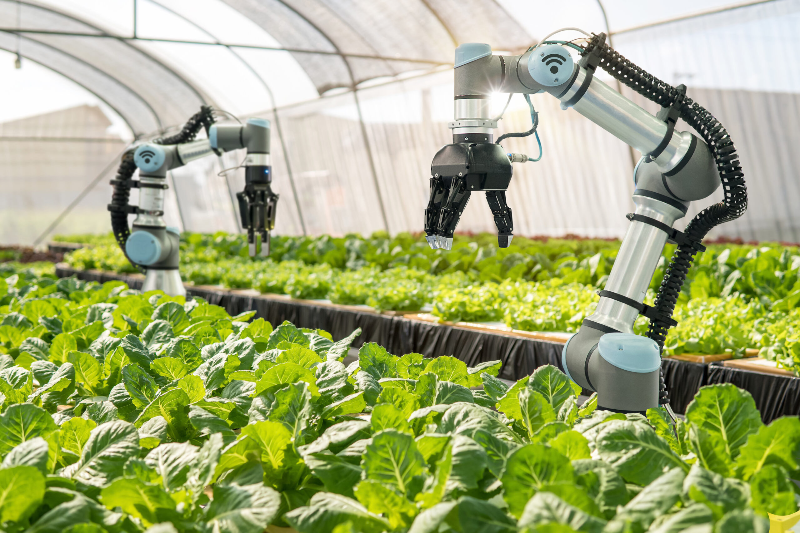 Smart farming agricultural technology Robotic arm harvesting hyd Agriculture robot